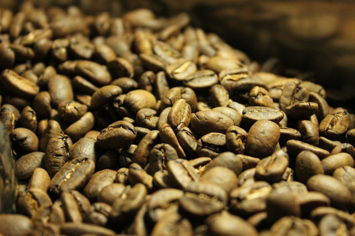 228888_124007161028315_5798120_n