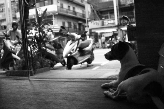 312158_137990209630010_296456609_n