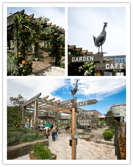 GroundsRoasters_81923033_n_副本