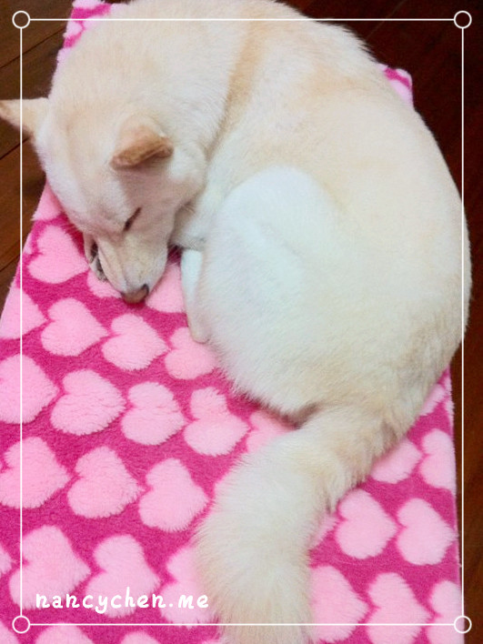 nancychen.me-beta-10