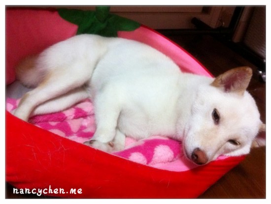 nancychen.me_Beta-5_副本