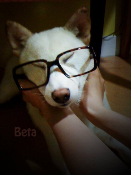 35630_182703745080960_Beta-nancychen (2)